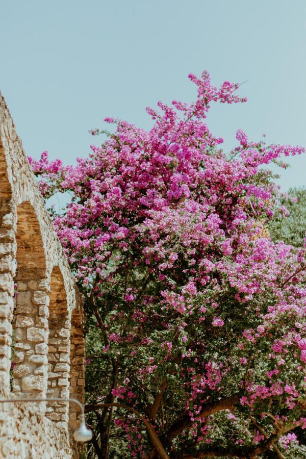 Mas Noguer Villa Girona Dış mekan fotoğraf